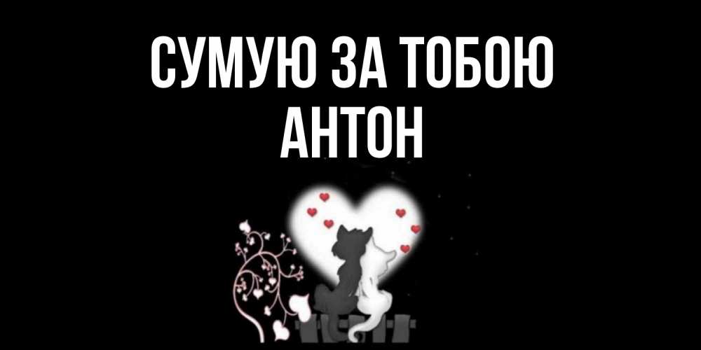 Открытка на каждый день з підписом, Антон Сумую за тобою коты Прикольна листівка з побажанням онлайн скачати безкоштовно 