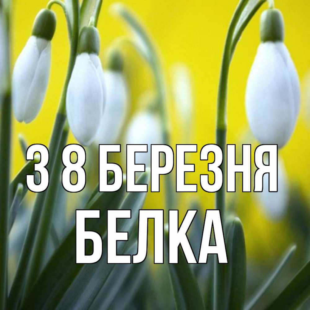 Открытка на каждый день з підписом, Белка З 8 БЕРЕЗНЯ весенние цветы Прикольна листівка з побажанням онлайн скачати безкоштовно 