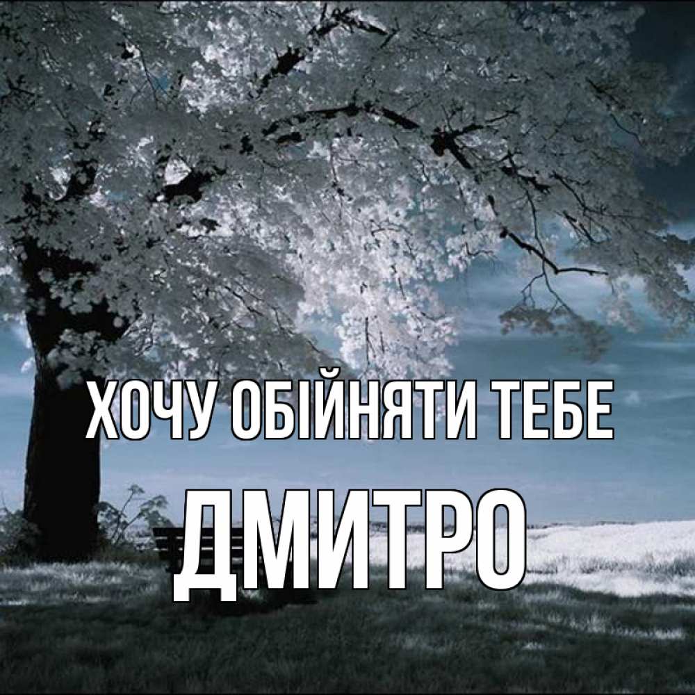 Открытка на каждый день з підписом, Дмитро Хочу обійняти тебе дерево Прикольна листівка з побажанням онлайн скачати безкоштовно 
