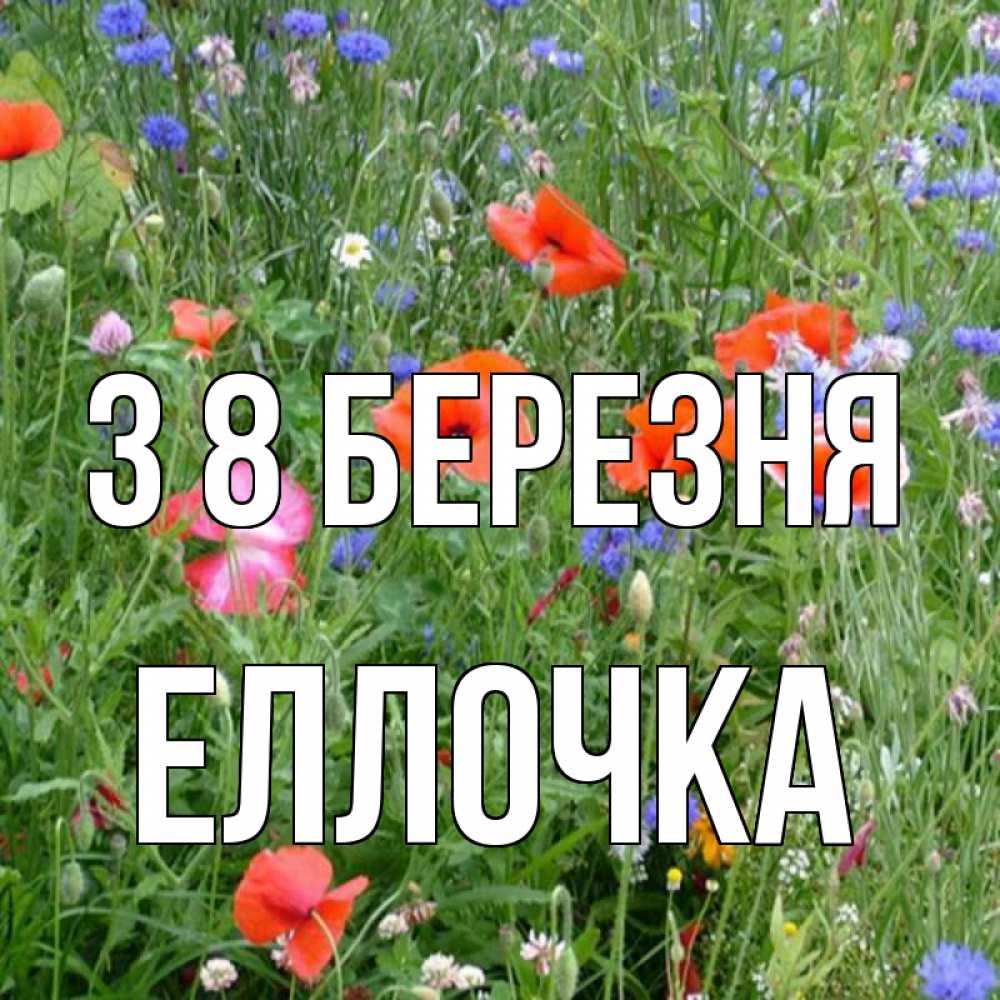 Открытка на каждый день з підписом, Еллочка З 8 БЕРЕЗНЯ международный женский день 4 Прикольна листівка з побажанням онлайн скачати безкоштовно 