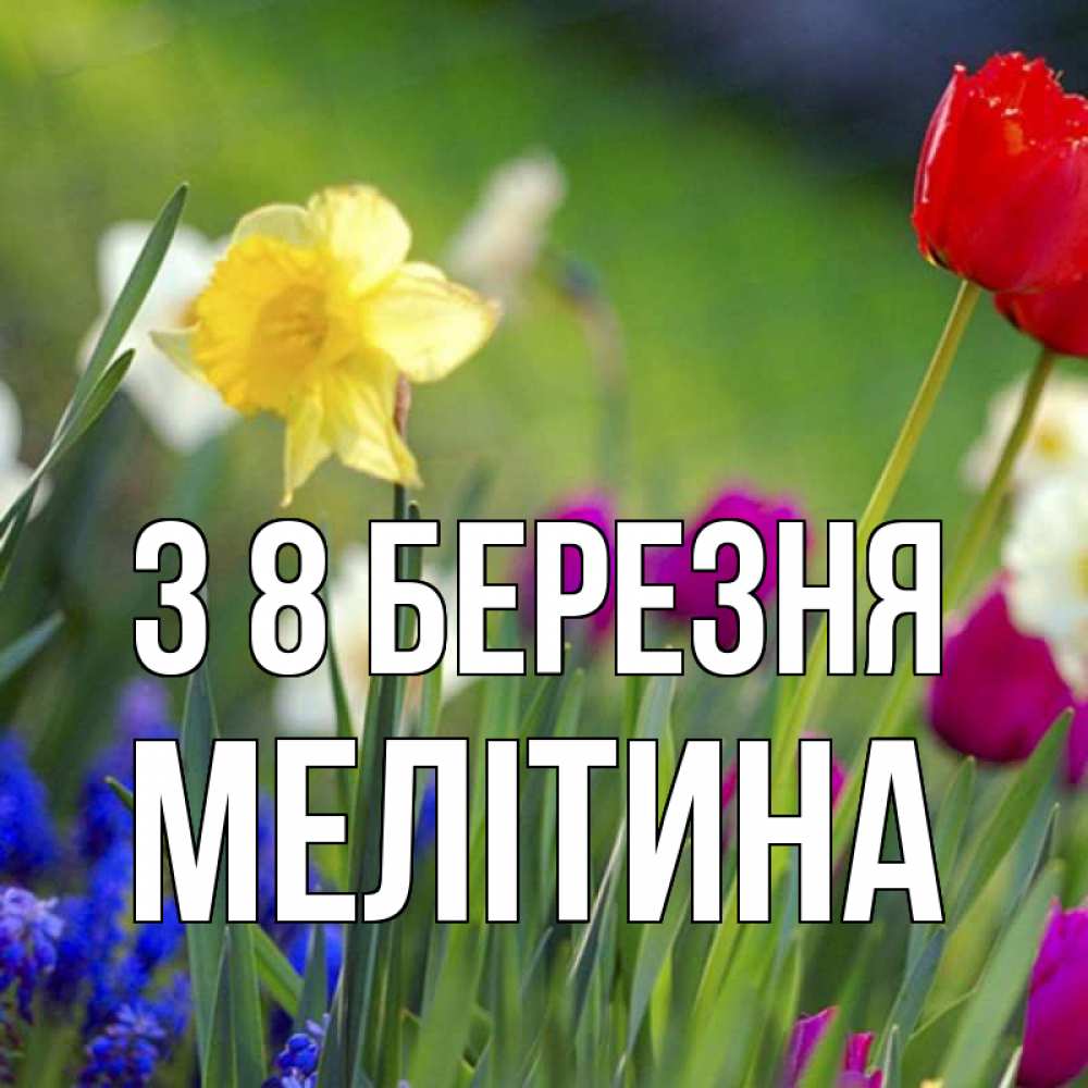 Открытка на каждый день з підписом, Мелітина З 8 БЕРЕЗНЯ международный женский день 3 Прикольна листівка з побажанням онлайн скачати безкоштовно 