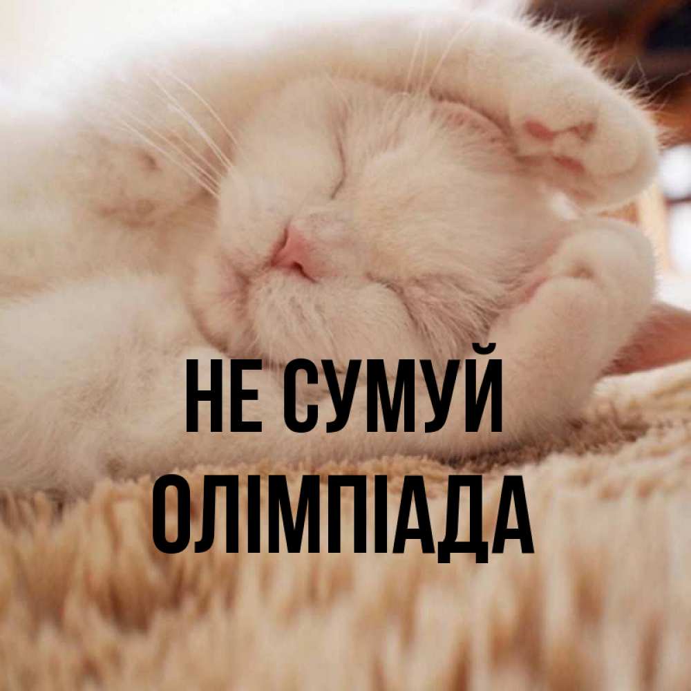 Открытка на каждый день з підписом, Олімпіада Не сумуй Котенок спит Прикольна листівка з побажанням онлайн скачати безкоштовно 