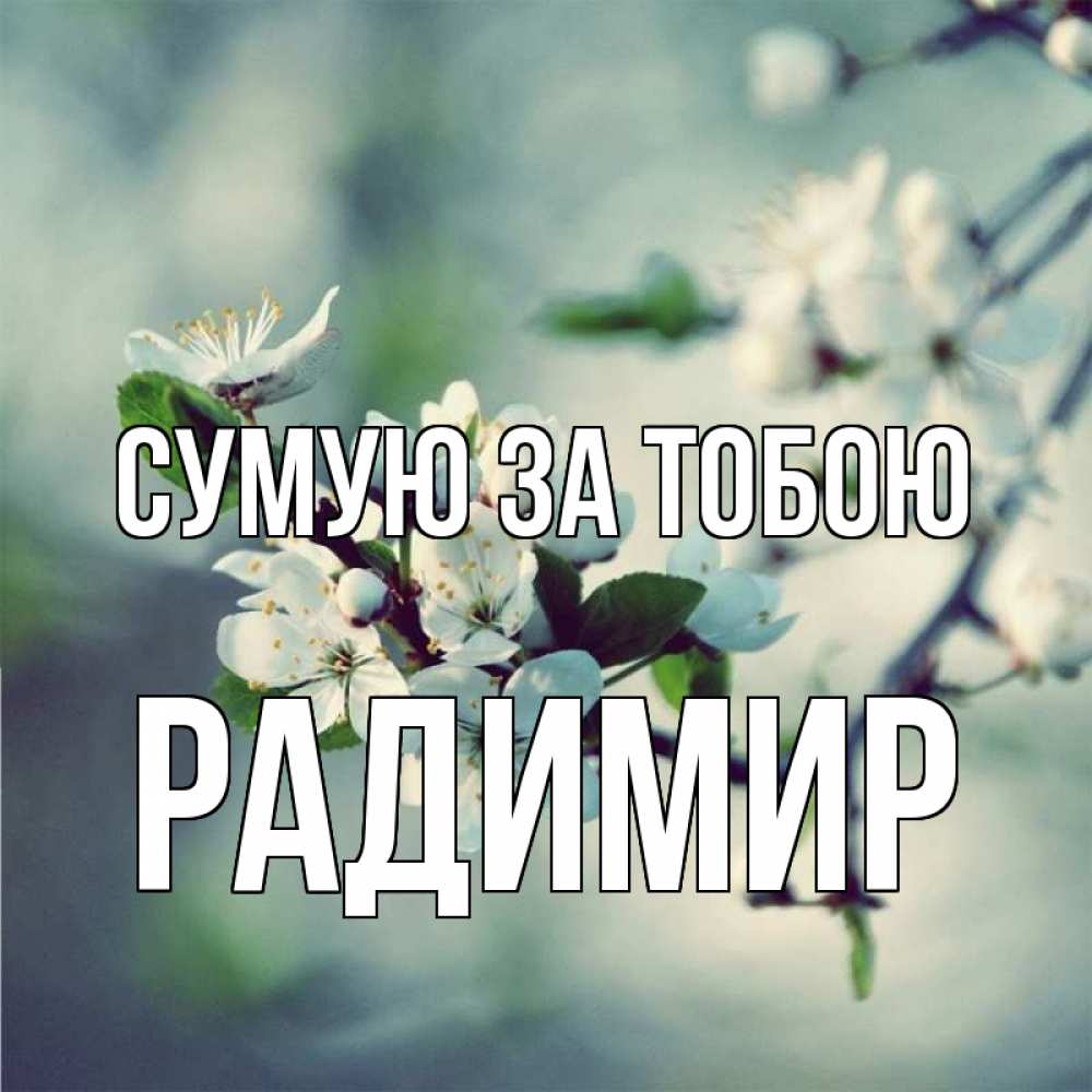Открытка на каждый день з підписом, Радимир Сумую за тобою весна Прикольна листівка з побажанням онлайн скачати безкоштовно 