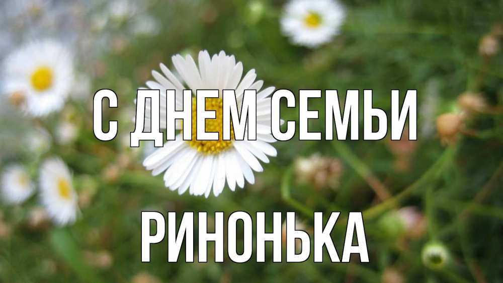 Открытка на каждый день з підписом, Ринонька С днем семьи с днем семьи Прикольна листівка з побажанням онлайн скачати безкоштовно 