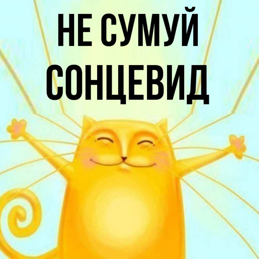 Открытка на каждый день з підписом, Сонцевид Не сумуй обнимашки усатые Прикольна листівка з побажанням онлайн скачати безкоштовно 