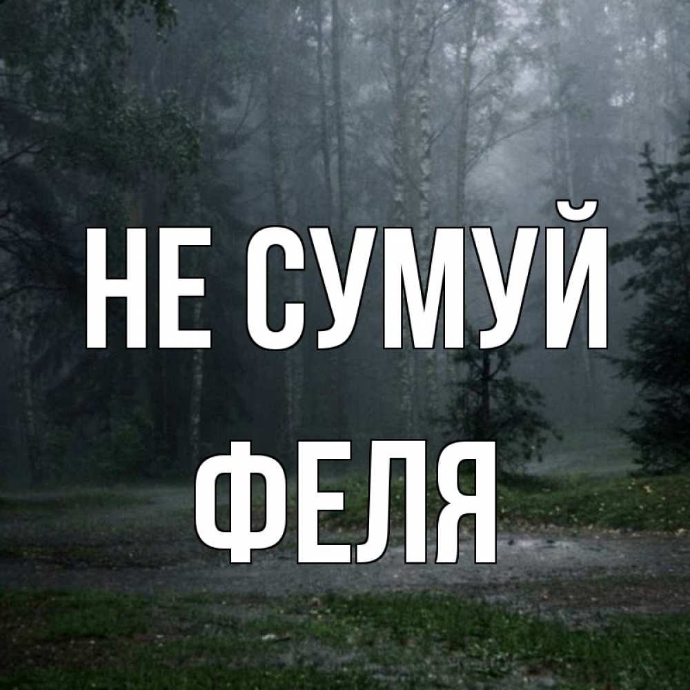 Открытка на каждый день з підписом, Феля Не сумуй осень Прикольна листівка з побажанням онлайн скачати безкоштовно 