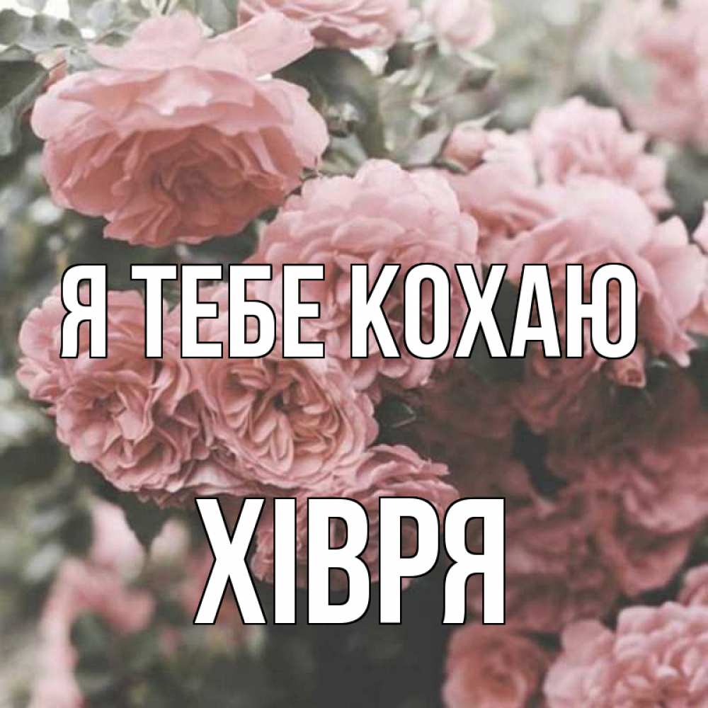Открытка на каждый день з підписом, Хівря Я тебе кохаю розы 3 Прикольна листівка з побажанням онлайн скачати безкоштовно 