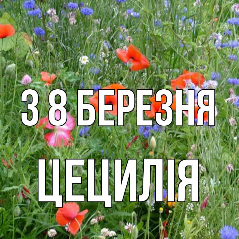 Открытка на каждый день з підписом, Цецилія З 8 БЕРЕЗНЯ международный женский день 4 Прикольна листівка з побажанням онлайн скачати безкоштовно 