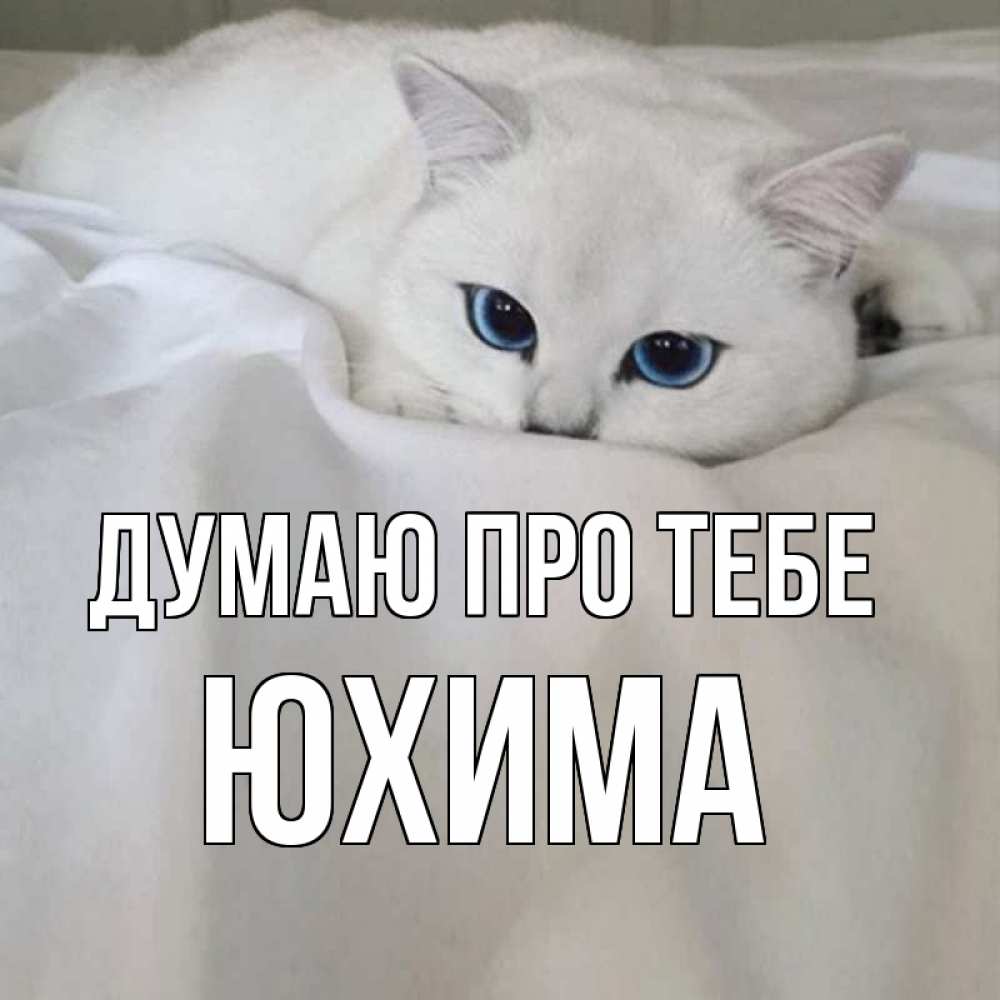 Открытка на каждый день з підписом, Юхима Думаю про тебе я очень по тебе скучаю и тоскую Прикольна листівка з побажанням онлайн скачати безкоштовно 